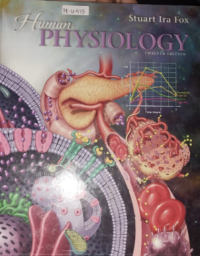 Human physiology